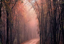 熊猫体育：巴尔韦德本赛季场均跑动10.5km皇马队内最多，贝林琼阿梅尼二三位.