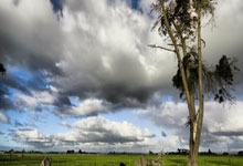 熊猫体育：[NBA]季后赛4月28日：VS 戴维斯集锦.