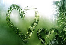 熊猫体育：WTA1000印第安维尔斯站：王欣瑜晋级 袁悦出局.