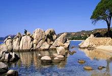 熊猫体育：[篮球公园]曾凡博空接暴扣领衔2024年度百大好球.